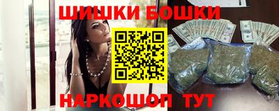 мдпв Гатчина