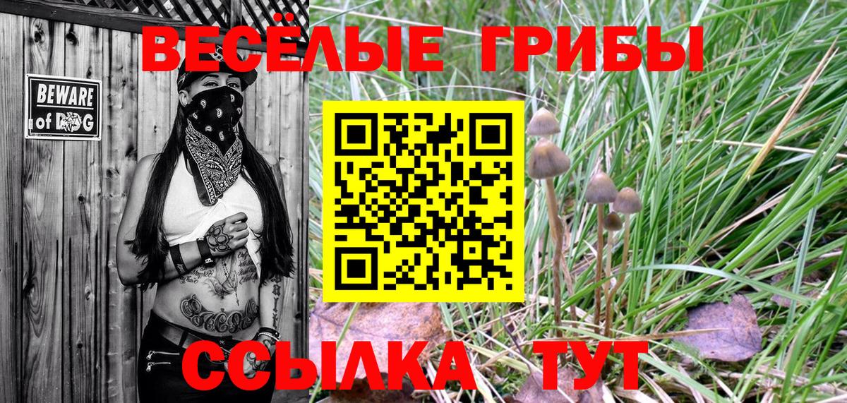 Кисловодск  Псилоцибиновые грибы Cubensis  Вход с VPN 